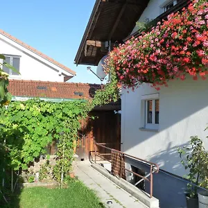 Apartment Ferienwohnung Alpenblick